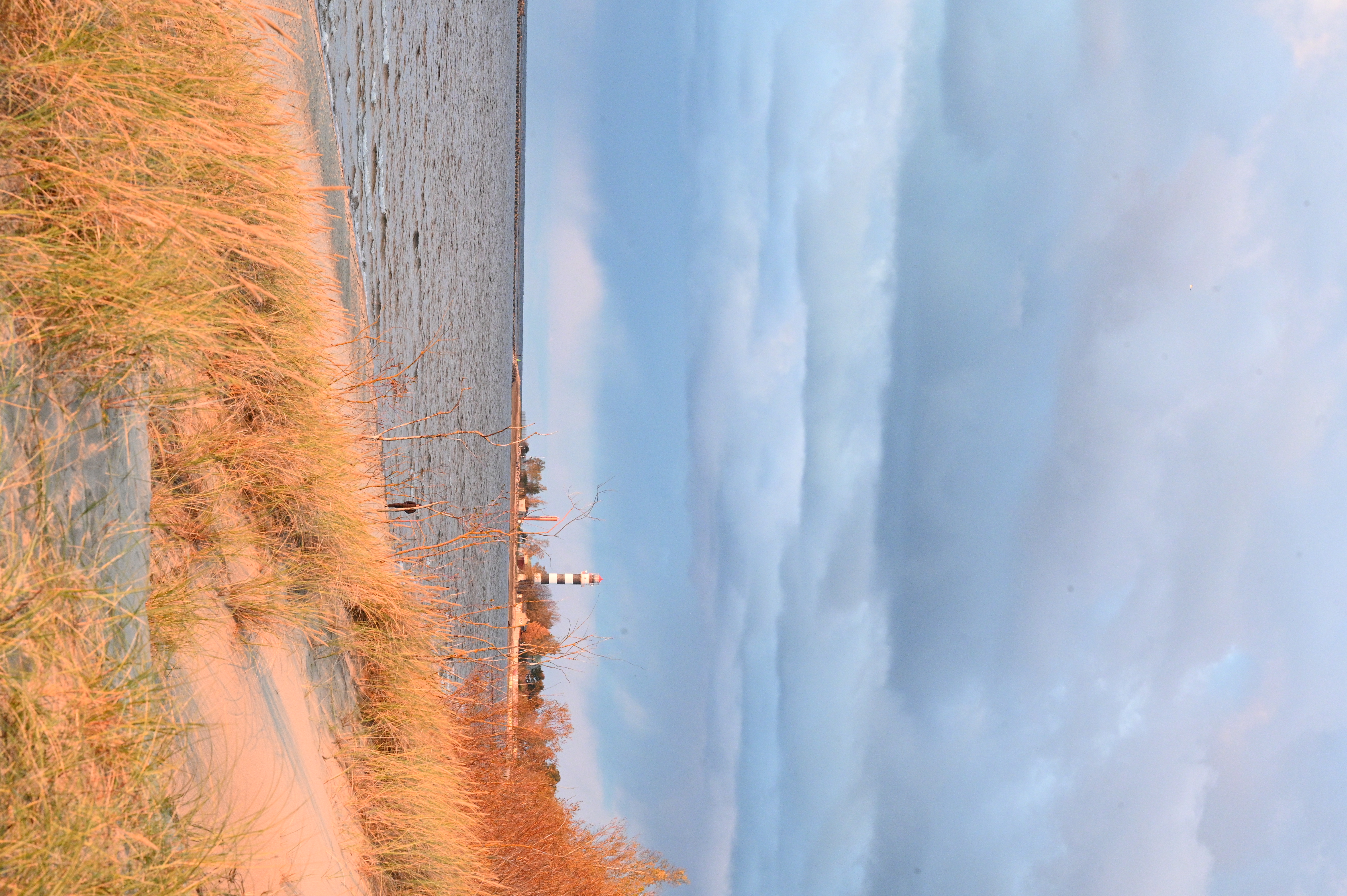 2025/10/18 - walk/DSC_0432.JPG